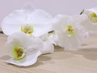 4161-305 - صورة 3