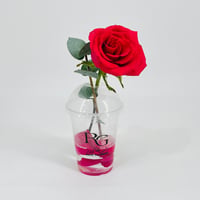 10800 - Image 1