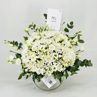 3679-287 - صورة 1