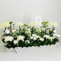9849-209 - Image 2