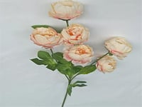 4303 - Image 1