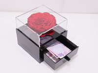 3743 - صورة 1
