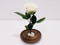 3616 - صورة 1