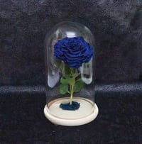 2219-763 - Image 1