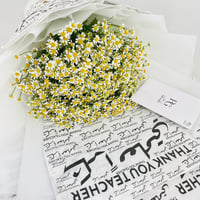 14012 - Image 3