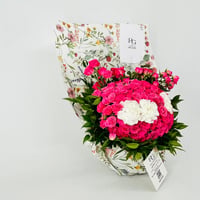 14158 - Image 3