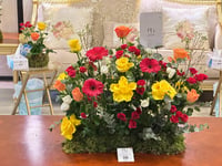 12914 - صورة 2