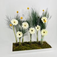 7716-221 - Image 3