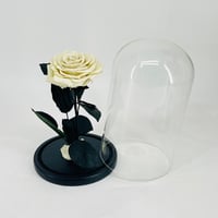 11276 - Image 2