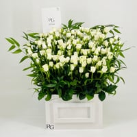 9933-415 - صورة 1