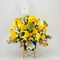 8412N - صورة 1