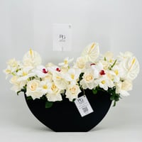 9050-836 - صورة 1
