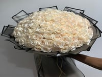 4529-17 - صورة 1