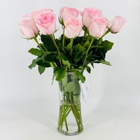 2746-16 - صورة 2