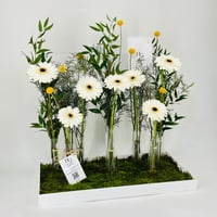 11587-714 - صورة 2