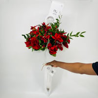 11514-537 - صورة 2