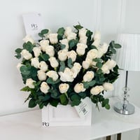 12731 - صورة 1