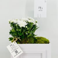 12837-815 - صورة 4