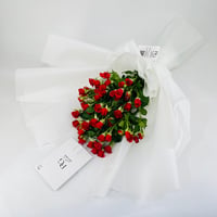 5017-676 - صورة 3
