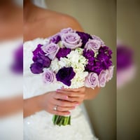 3012-84 - صورة 1