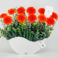 12527 - صورة 4