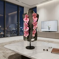 27633 - صورة 1