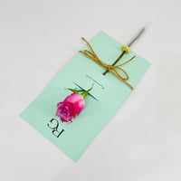 9966 - صورة 2