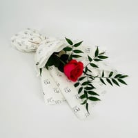 9381-268 - صورة 1