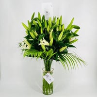 2594-476 - صورة 1