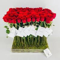 13907-834 - صورة 4