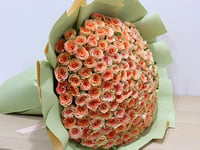 4174-548 - صورة 1