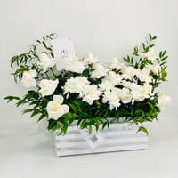 10147N - Image 2