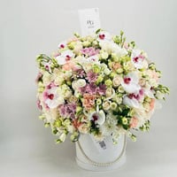 8860-705 - صورة 1
