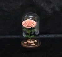 2203 - صورة 1