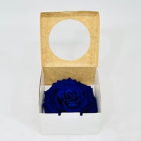 11246 - Image 2