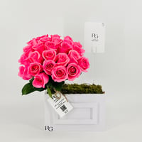 12861 - صورة 1