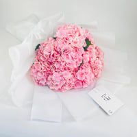 5033 - صورة 2