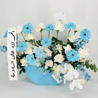 13485 - صورة 2