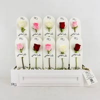 13957 - Image 1
