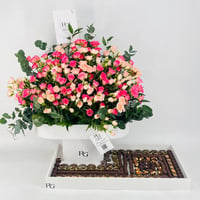 12685 - صورة 1