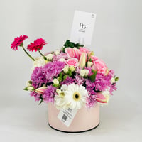 1069 - Image 1