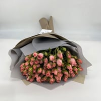530 - صورة 2