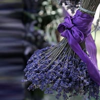1714-537 - صورة 1