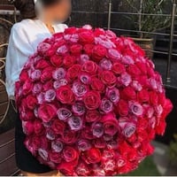 636 - صورة 1
