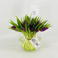 13243 - Image 2