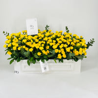 11619-725 - صورة 1