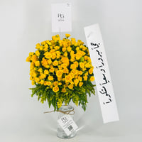 12657 - صورة 1