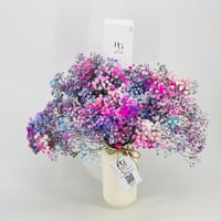 8992N - Image 2