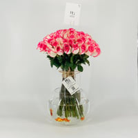 13269 - Image 1