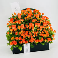 9083-305 - صورة 2